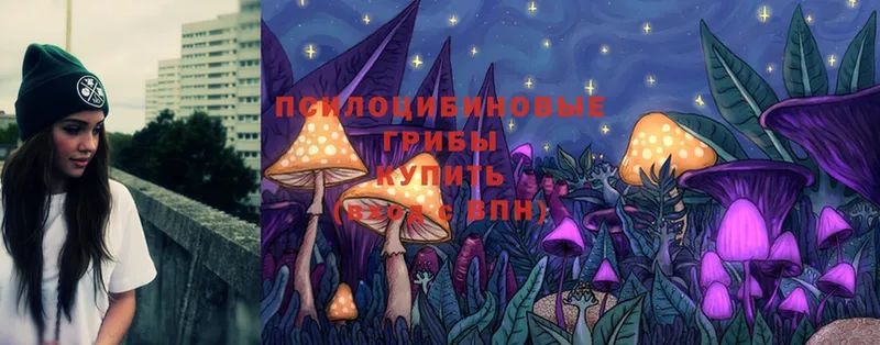 цена   Лукоянов  Галлюциногенные грибы MAGIC MUSHROOMS 